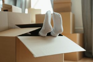 removals company plymouth scaled